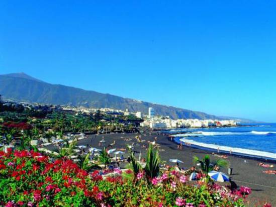 特内里费马里提姆酒店Maritim Hotel Tenerife预