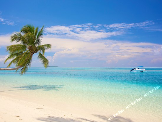 Conrad Maldives Rangali Island(׸ﵺƵ) 