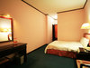 Shenzhen - Anshine Hotel