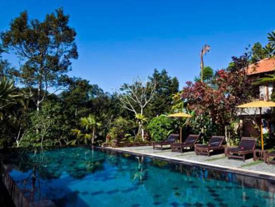 abing terrace resort - retreat centre(阿冰梯田度假酒店及疗养中心