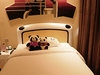 Emei Shan - Panda Inn (E'MEI CITY)