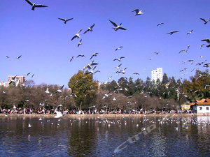 昆明云南师范大学五华区实验中学教场中路校区