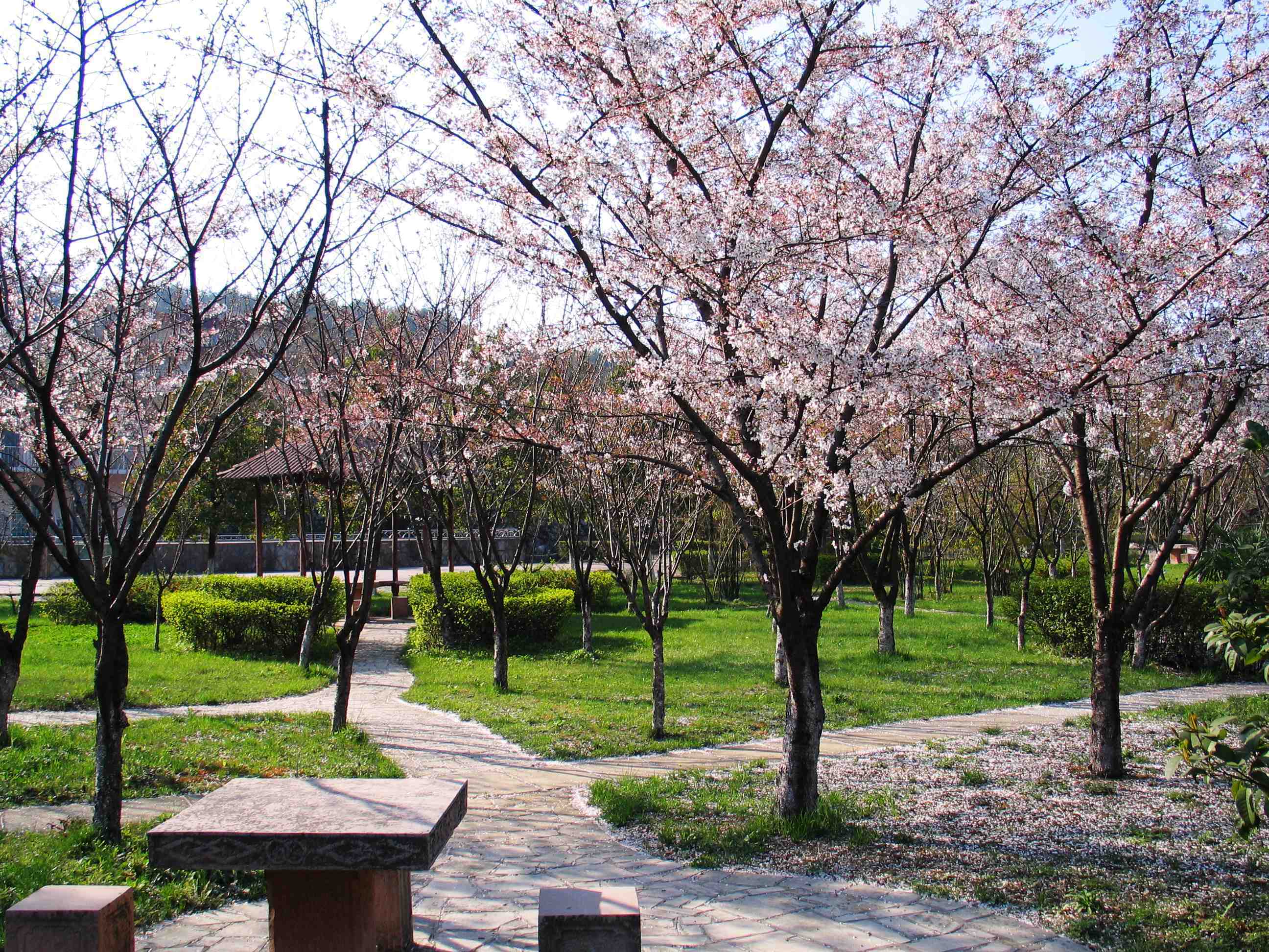 贵阳旅游住宿,贵阳住宿攻略,度假酒店,酒店网上