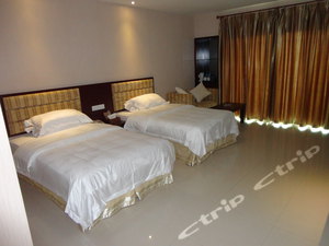 背景墙 房间 家居 酒店 设计 卧室 卧室装修 现代 装修 300_225