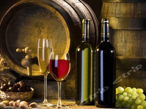 香港香港海洋公园附近酒店预订,价格查询-香港