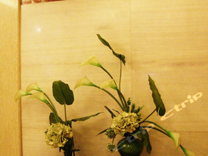 成都宇豪金港湾酒店预订-成都宇豪金港湾酒店