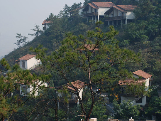 英德市望埠镇(清远奇洞温泉精品度假酒店)