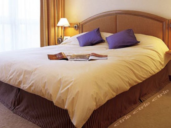 从深圳湾口岸过去,坐B2P直接…-香港嘉湖海逸