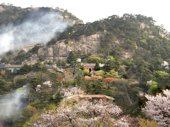 清凉别墅标间-黄山狮林清凉别墅 清凉别墅标间