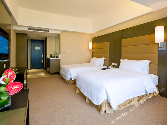 大良新城区兴顺路嘉信城市广场一期,佛山顺德