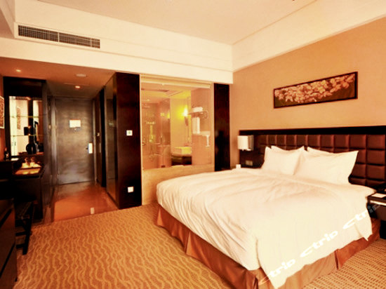 撒对大会撒谎对话撒uid后随啊…-上海浦东绿地