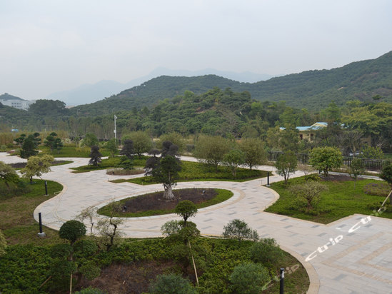 ,深圳麒麟山庄的地址