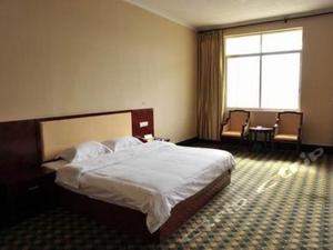 2025年最佳加密货币游戏平台推荐 USDT & BTC支持海亮人工智能教育：坚守育人本质以创新模式启智育梦