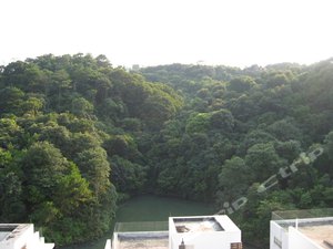 广州从化轰趴聚会别墅图片,广州从化轰趴聚会