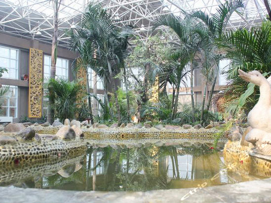 【聊城阿尔卡迪亚国际温泉酒店】官网酒店预订