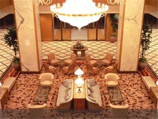 大阪堺市丽嘉皇家酒店图片及房间照片