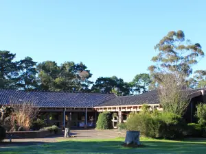 Melaleuca Lodge Beaconsfield