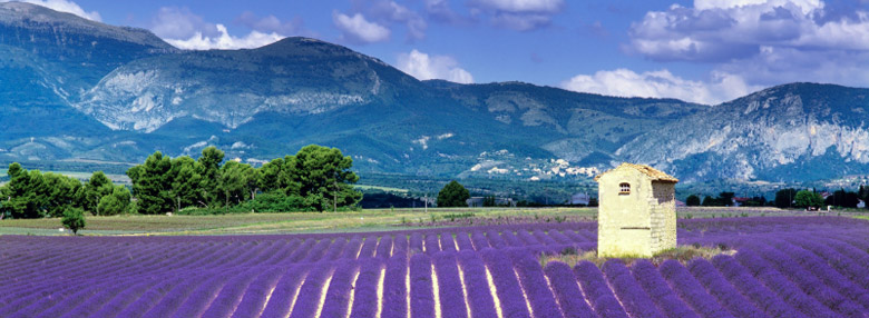 普罗旺斯住宿推荐,普罗旺斯酒店排行榜
