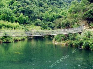 宁海双林农家乐3号图片