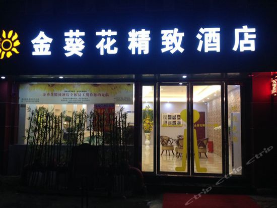 深圳金葵花精致酒店