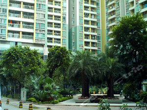 00客厅全景01.jpg-清雅居酒店公寓(广州天河北