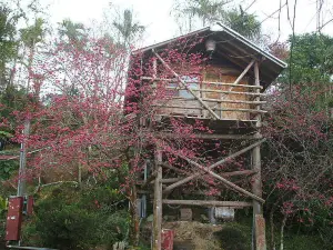 Lai Home