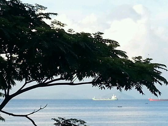 深圳市大鹏新区鑫蓝海岸民宿预订,深圳市大鹏