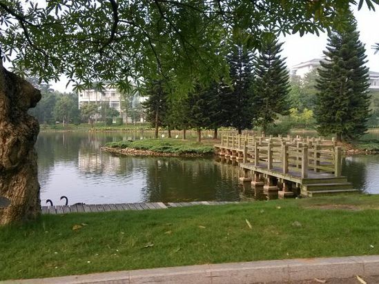 南宁荔园山庄预订价格,联系电话\位置地址