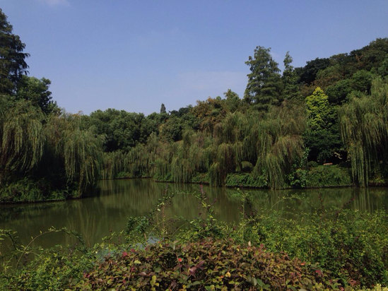 合肥稻香楼宾馆预订价格,联系电话\位置地址【携程酒店】