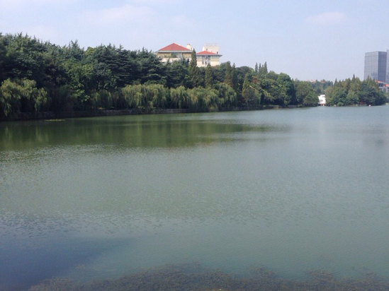 合肥稻香楼宾馆预订价格,联系电话\位置地址【携程酒店】