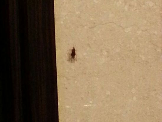 泉州滨海大酒店预订价格,联系电话\位置地址