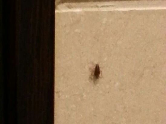 泉州滨海大酒店预订价格,联系电话\位置地址