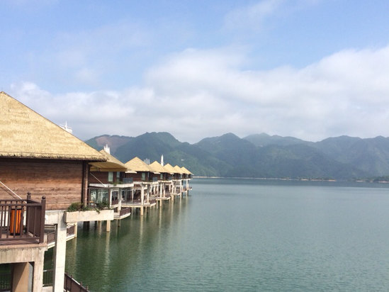 云和云曼酒店预订,云和云曼酒店酒店价格,点评,电话查询【携程酒店】