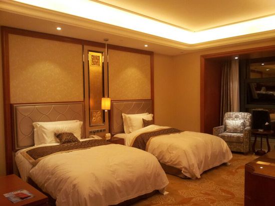 合肥北城世纪金源大饭店预订,合肥北城世纪金