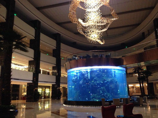 佛山希尔顿酒店怎么样\好不好\服务点评【携程酒店】