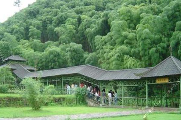中国大竹海团购-安吉景点门票团购-【携程团购】