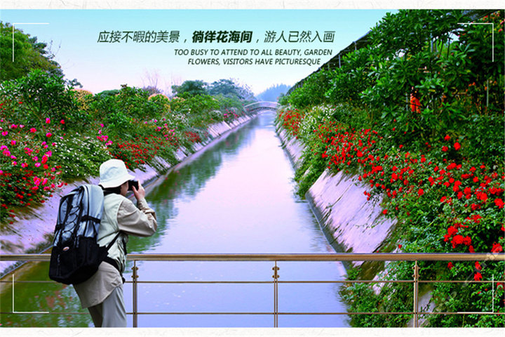 从化宝趣玫瑰园