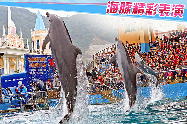 深圳小梅沙海洋世界“梦幻海洋”成人票1张-深圳团购-团购王深圳站