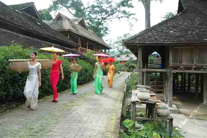 西双版纳中缅边境大巴3晚4日游(1人次)团购-西双版纳度假旅游团购-【携程团购】