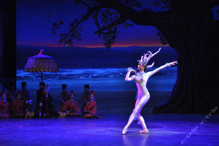 河北白鹿温泉酒店(普通标准间)团购-平山酒店团购-【携程团购】