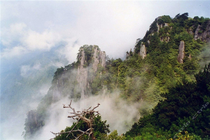 江西明月山风景区成人门票1张