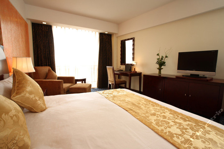 上海虹桥机场华港雅阁酒店(高级大床房)团购-上