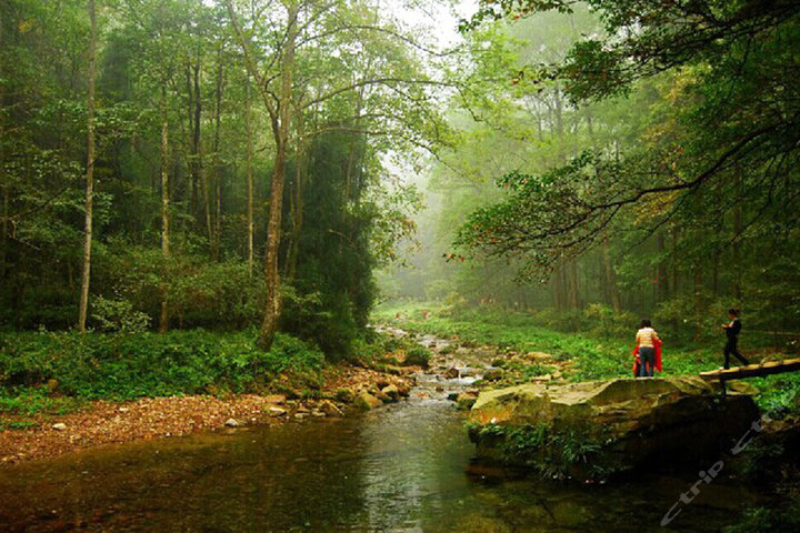 长沙至张家界汽车3日游1人次(长沙出发)团购-