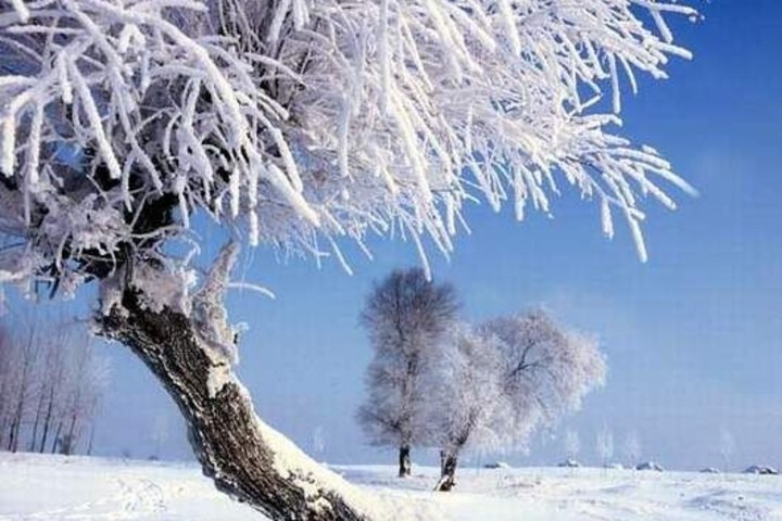 【吉林雾凇岛景芝客栈团购】吉林雾凇岛景芝客栈(单人铺位-独立卫浴)团购