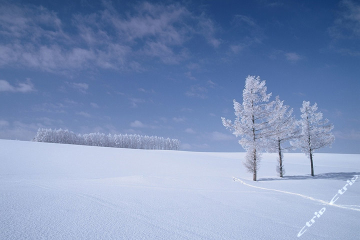 海外游-上海-北海道冬季温泉玩雪游团购-海外度