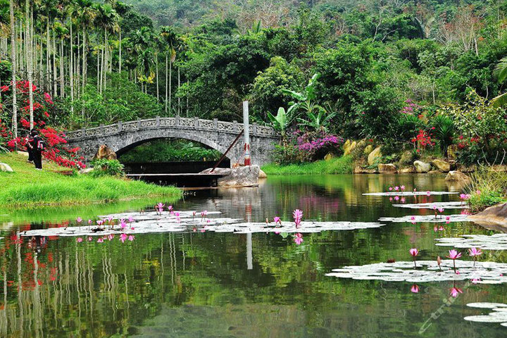 三亚呀诺达热带雨林门票1张 养生自助餐