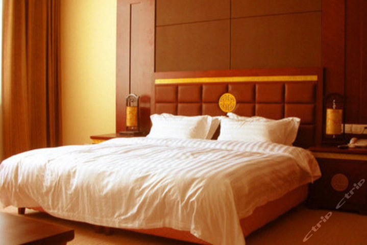 东平水浒度假酒店(大床房)团购-原价428元-团购仅售218元,东平酒店团购【携程团购】