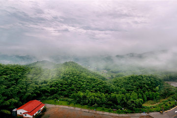 【益阳】桃花江竹海风景区