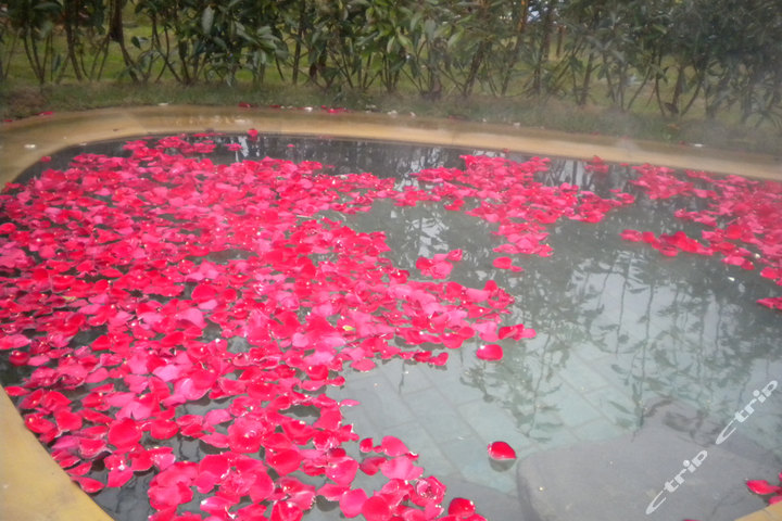 南京大吉温泉度假村—大吉温泉花瓣池