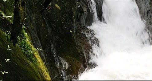 在网上购机票的流程?